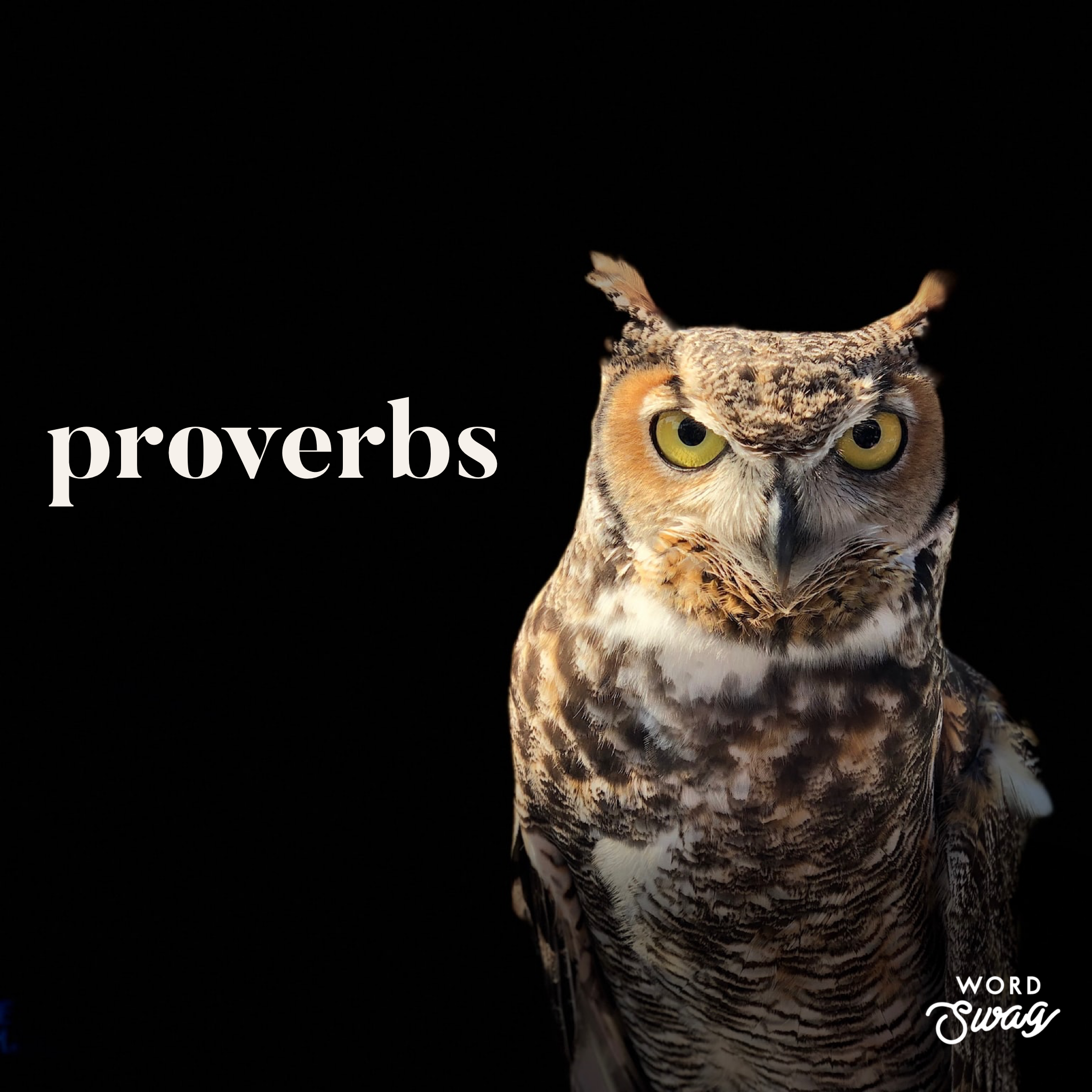 Proverbs #4