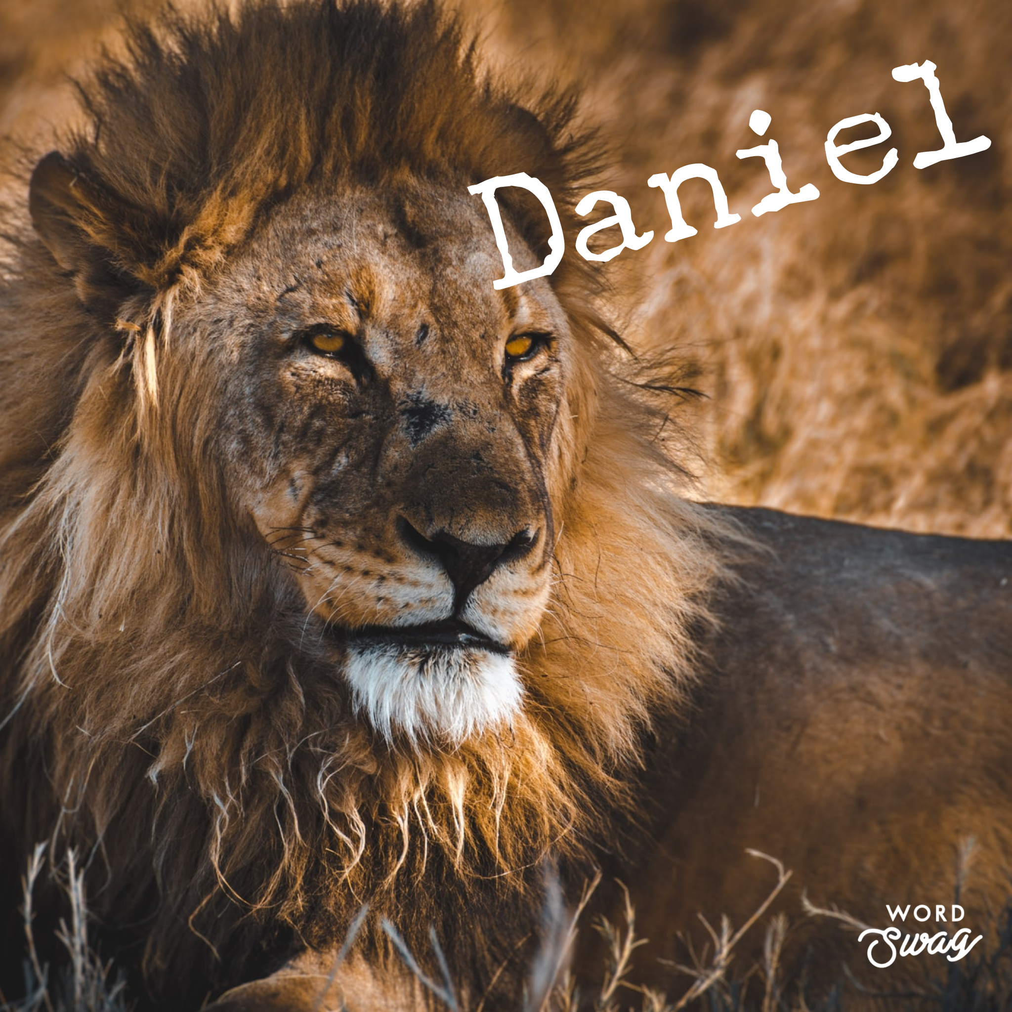 Daniel 6
