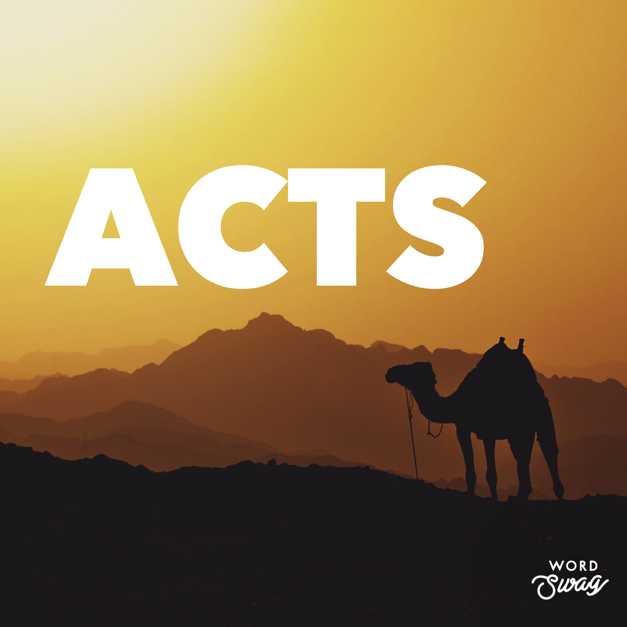 Acts 24