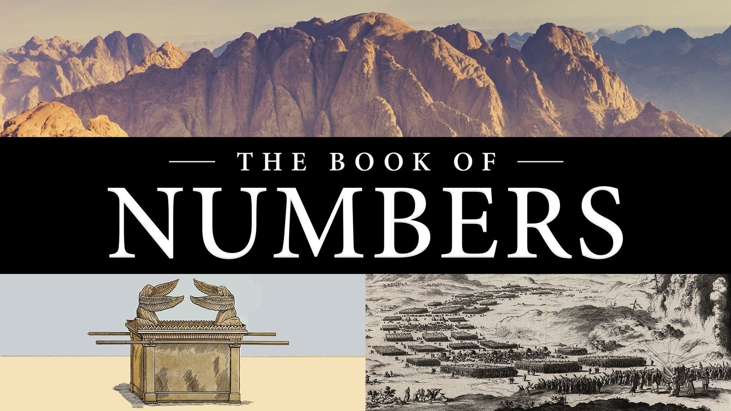 Numbers 11:4-23 & 31-35 episode artwork