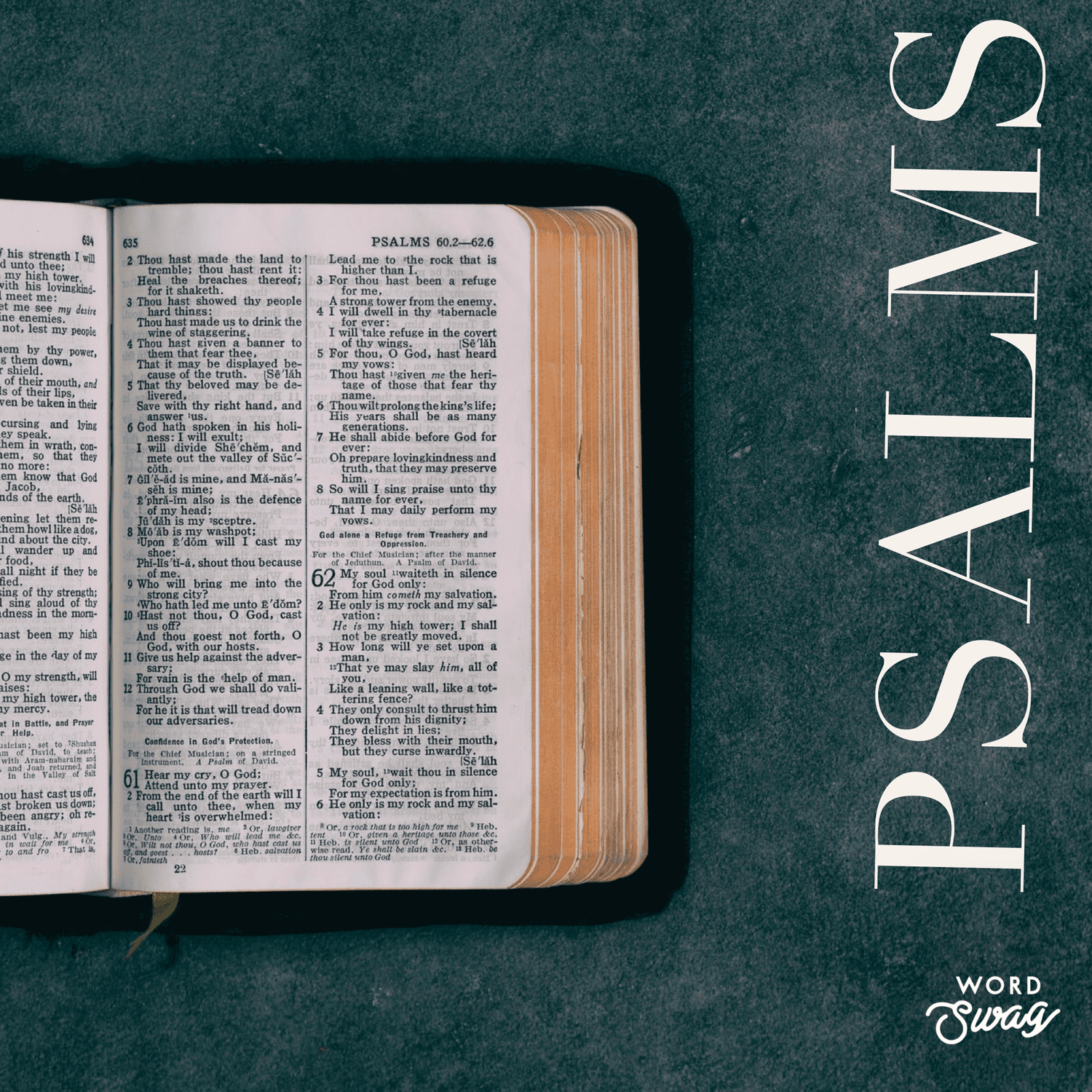 Psalm 73 episode artwork