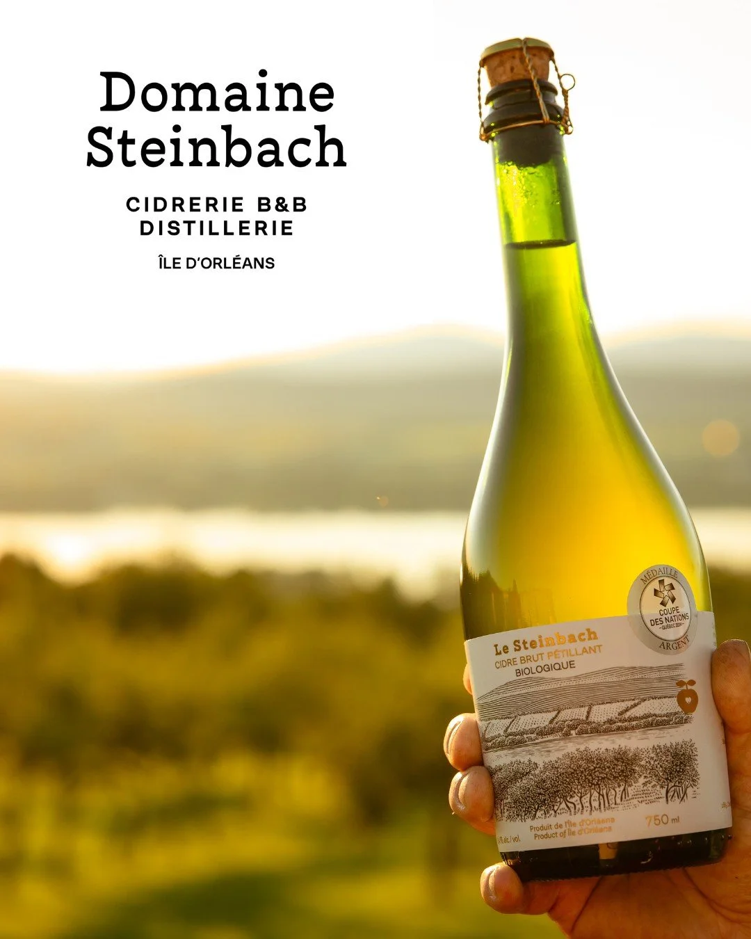 Cidre biologique de l'ile d'Orléans