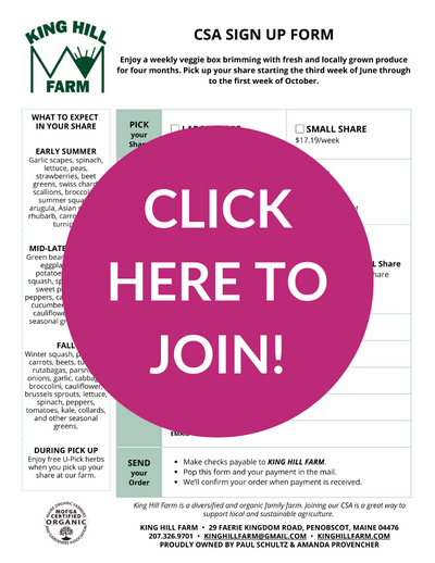 Magenta button for CSA form