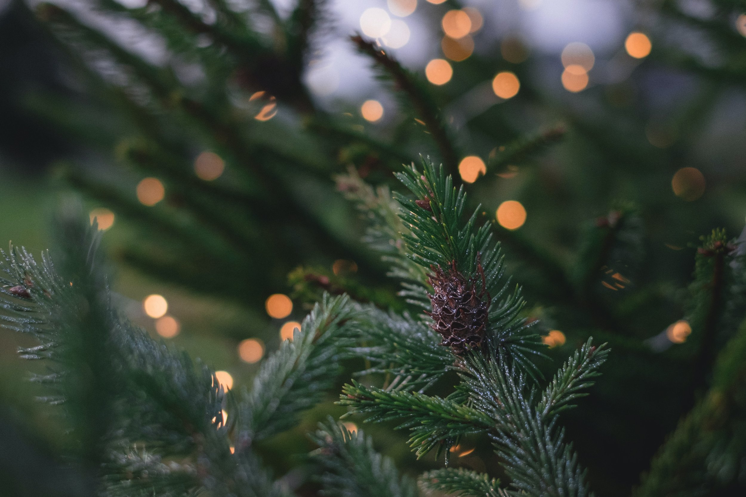 Making the most out of the holidays