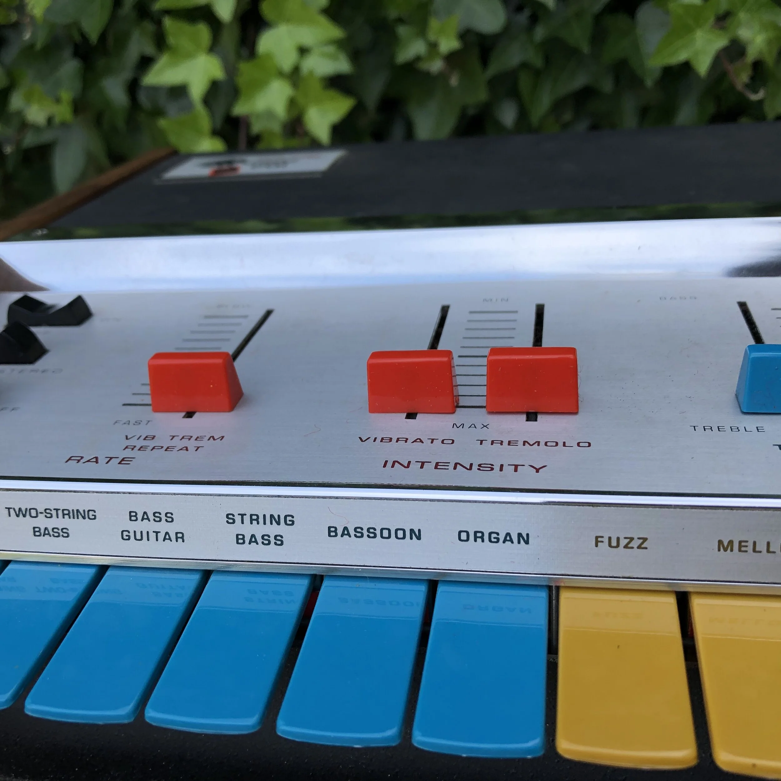 Condor Keys Closeup2.JPG