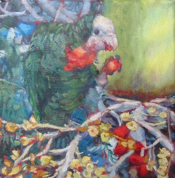Abaco Parrots Series No. 5