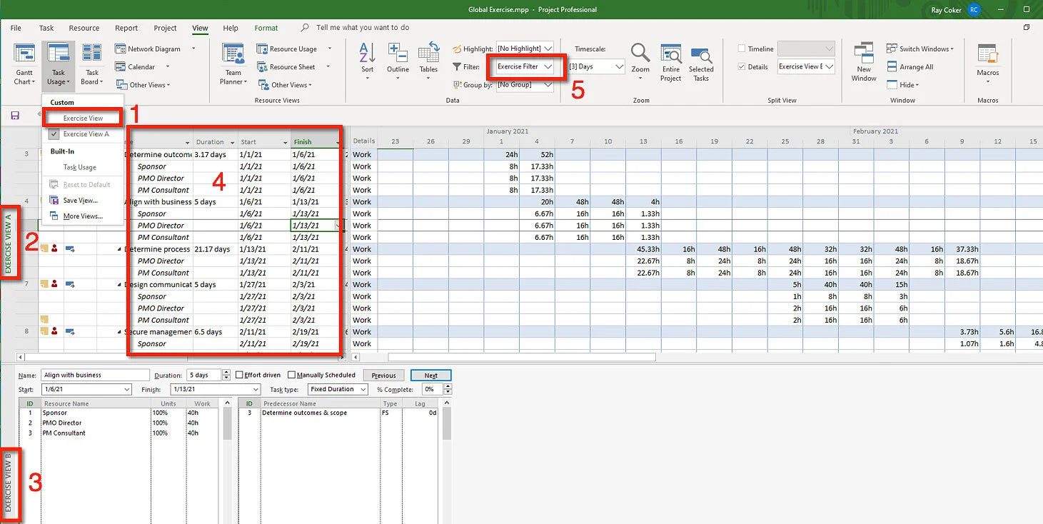 Microsoft Project split window showing a custom Task Usage view in the upper pane and a Task Form view in the lower pane, with a custom table and filter applied.