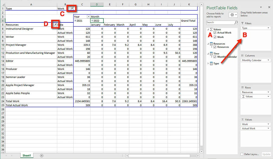 Excel PivotTable created from a Microsoft Project Visual Report showing resource filters, Work resource selection, and PivotTable field configuration.
