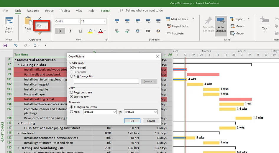 Microsoft Project Copy Picture dialog showing options for exporting a Gantt Chart as an image.