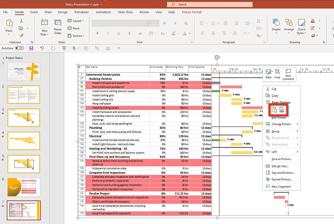 Microsoft Project Copy Picture dialog showing options for exporting a Gantt Chart as an image.