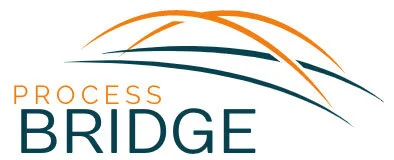 Process-Bridge.jpg