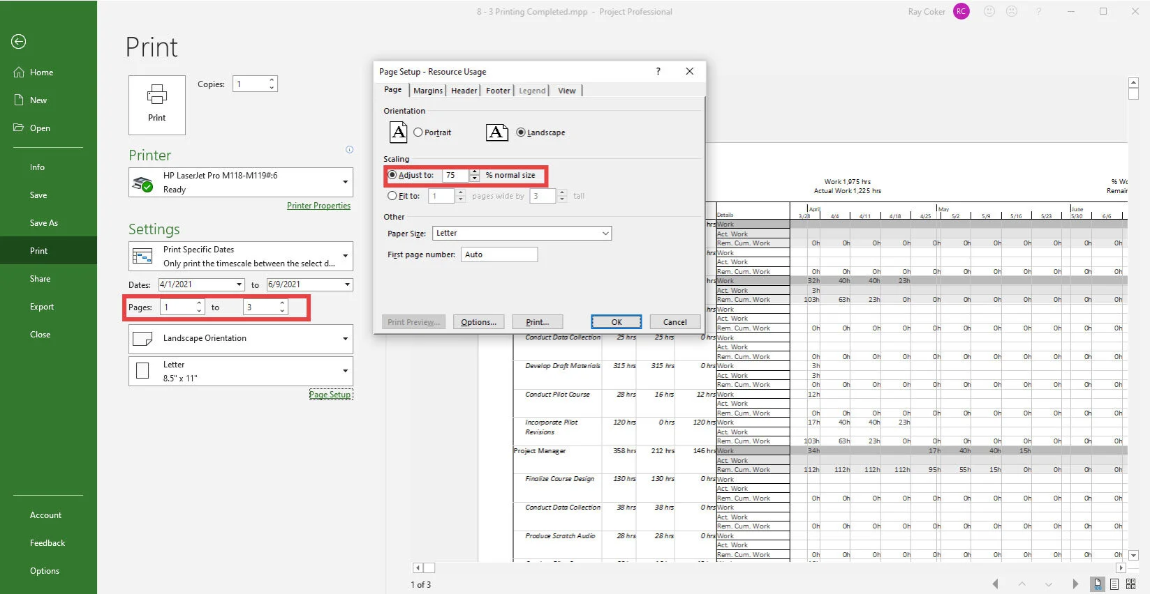 Microsoft Project Print preview window displaying printer selection, page range, preview, and Page Setup options for printing or creating PDF reports.