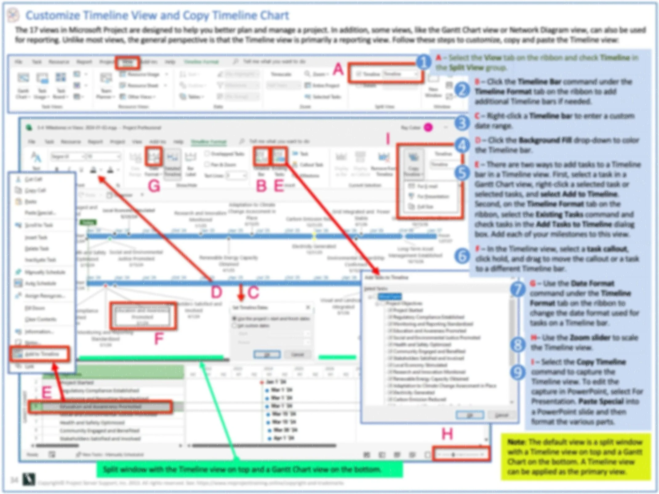 Download the Customize Timeline View and Copy Timeline Chart - the very best MS Project Online Training Class in the world.