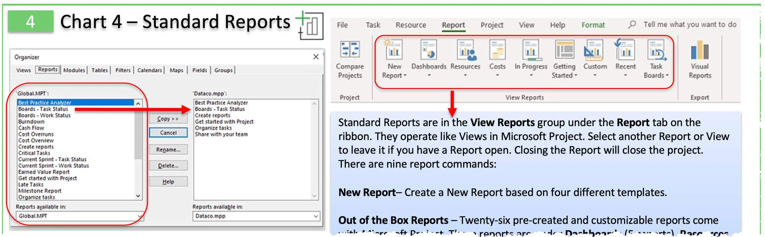 Chart titled "Guidelines for Standard Reports" summarizing recommended practices for creating consistent, effective Microsoft Project reports for different stakeholder audiences.