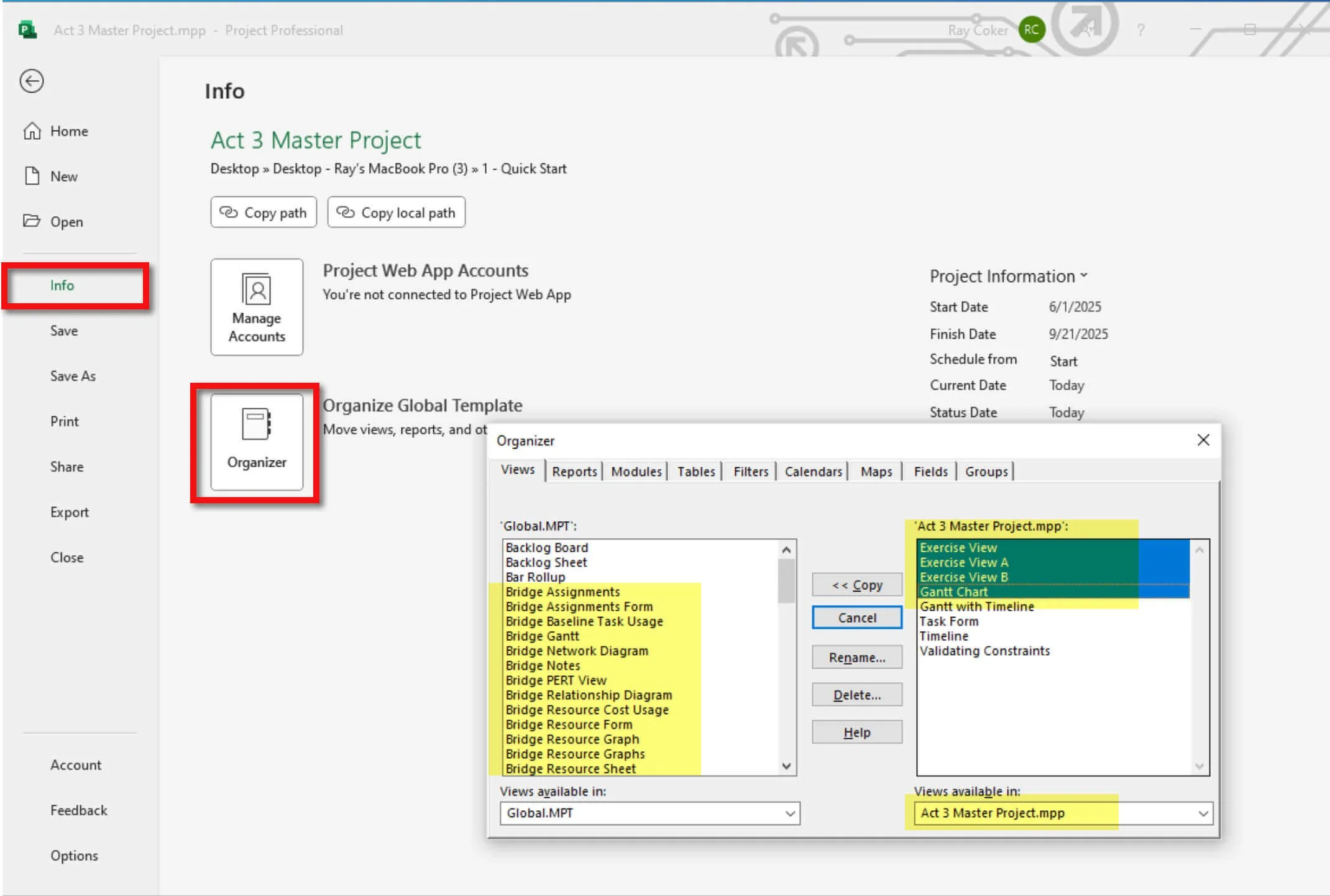 Microsoft Project Organizer dialog box showing Exercise views, tables, and filters copied to the Master Project and Bridge elements stored in the Global.MPT file.
