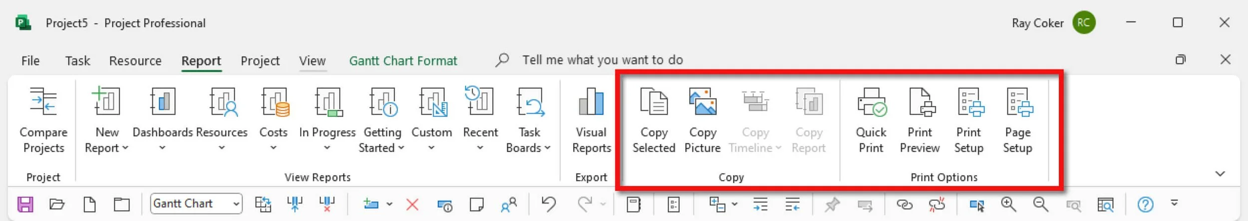 Microsoft Project Reports tab showing customized groups and commands added for screen capture, copying views, and printing views.