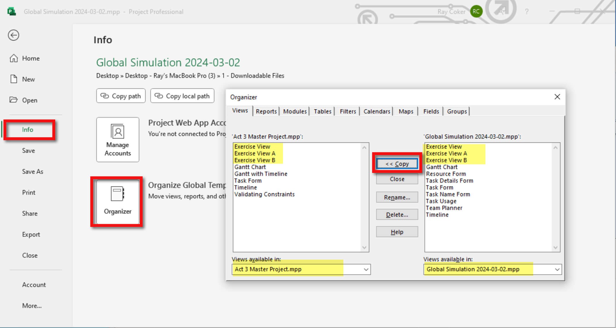 Microsoft Project Organizer Views tab showing Exercise View, Exercise View A, and Exercise View B selected in one project and copied to the Master Project.