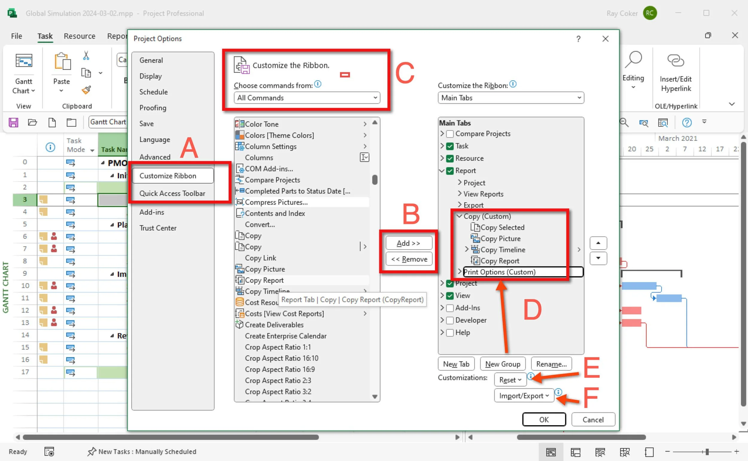 Microsoft Project Options Customize Ribbon page with callouts identifying Ribbon tabs, groups, commands, customization controls, reset options, and import or export settings.