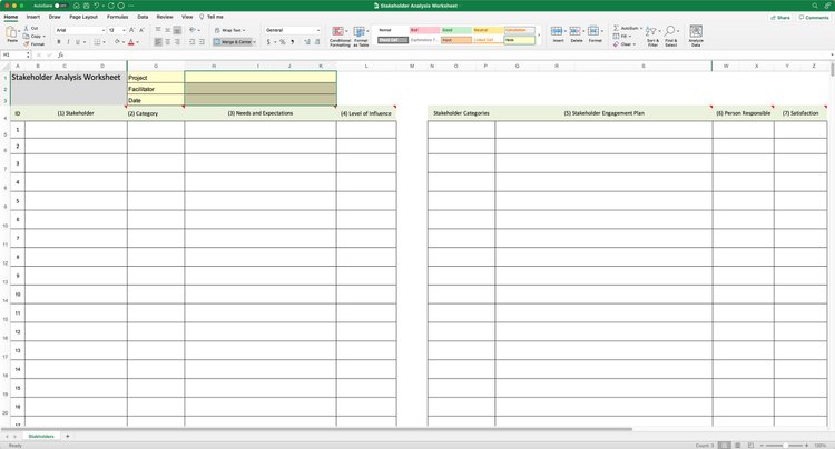 Mastering Project Objectives in Microsoft Project: Stakeholder Analysis ...
