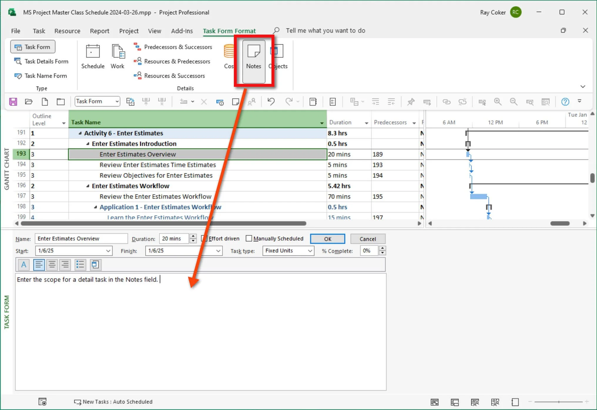 Microsoft Project split view showing a selected activity in the Gantt Chart and the Notes detail in the Task Form below for entering activity scope information.