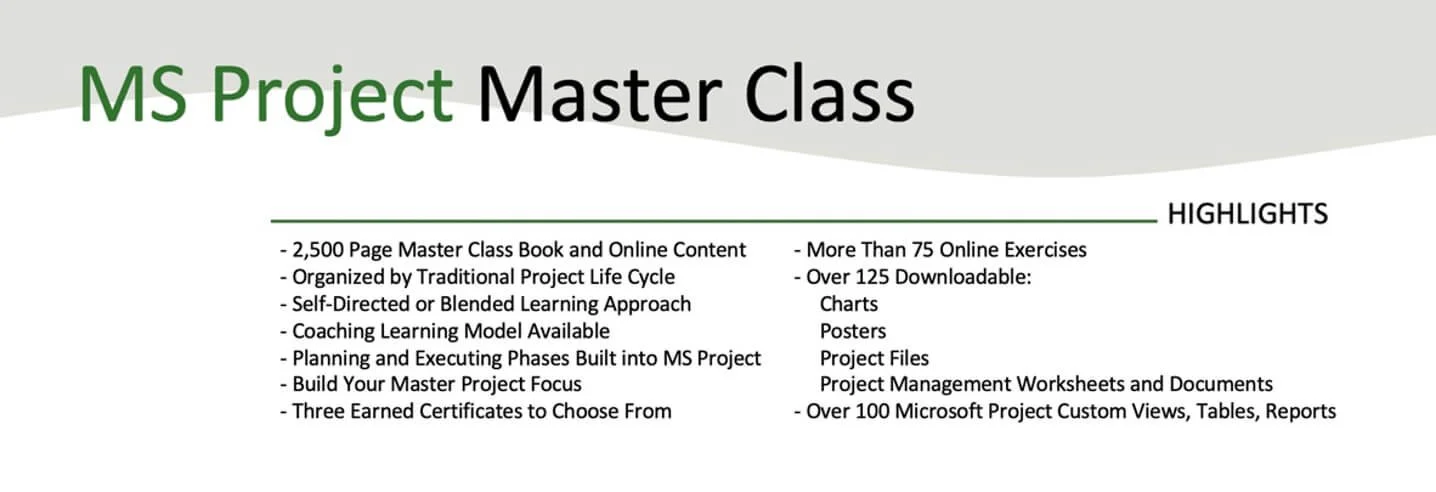 Microsoft Project Master Class Training
