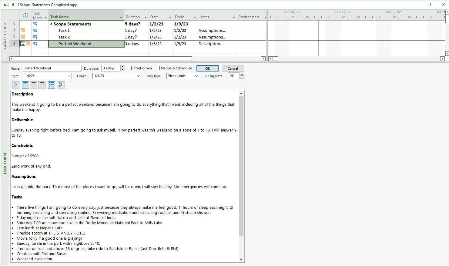 Microsoft Project Task Notes field containing detailed activity documentation, including scope descriptions, deliverables, assumptions, constraints, and supporting planning information.