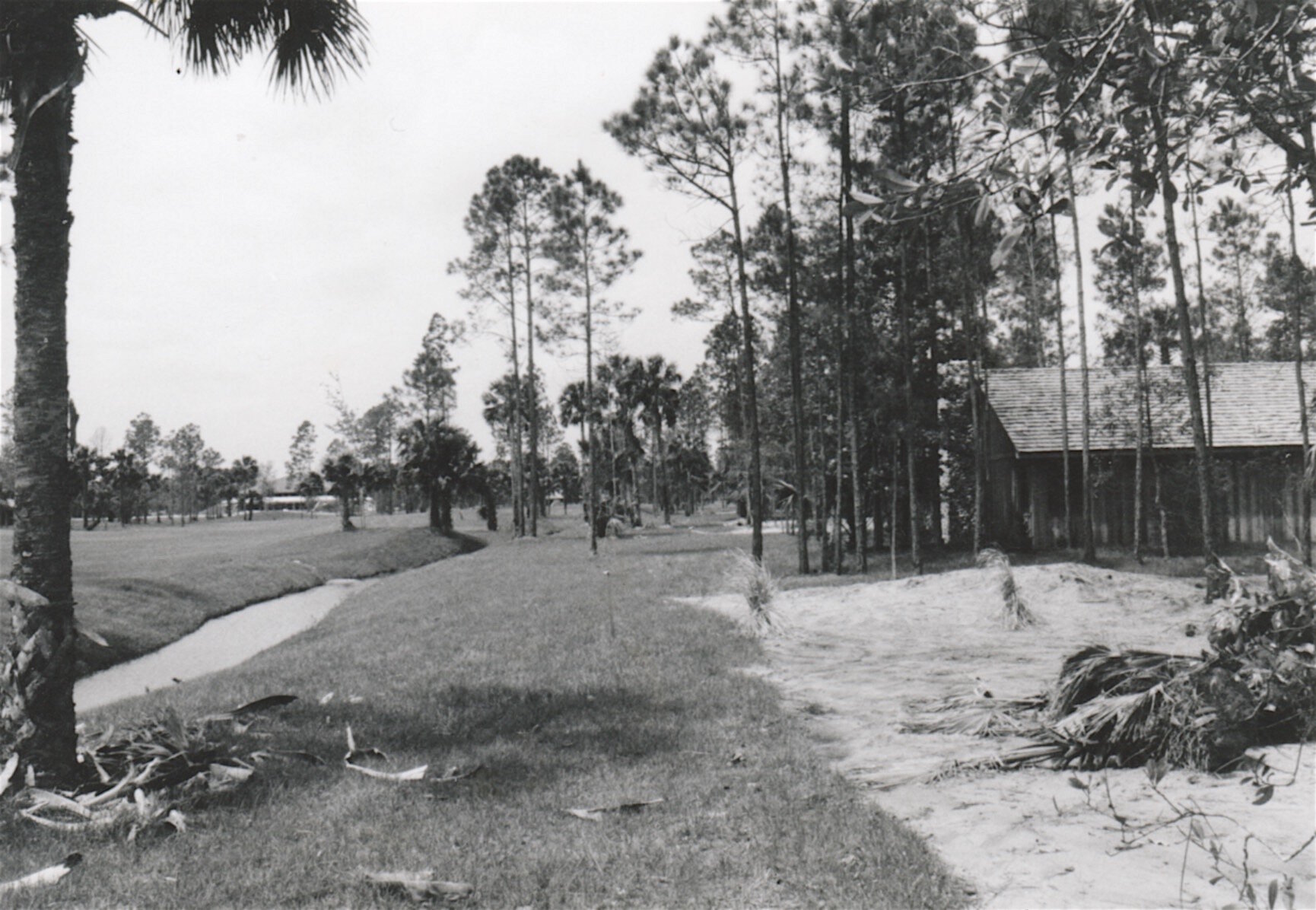 View of North Course from new home in 1980