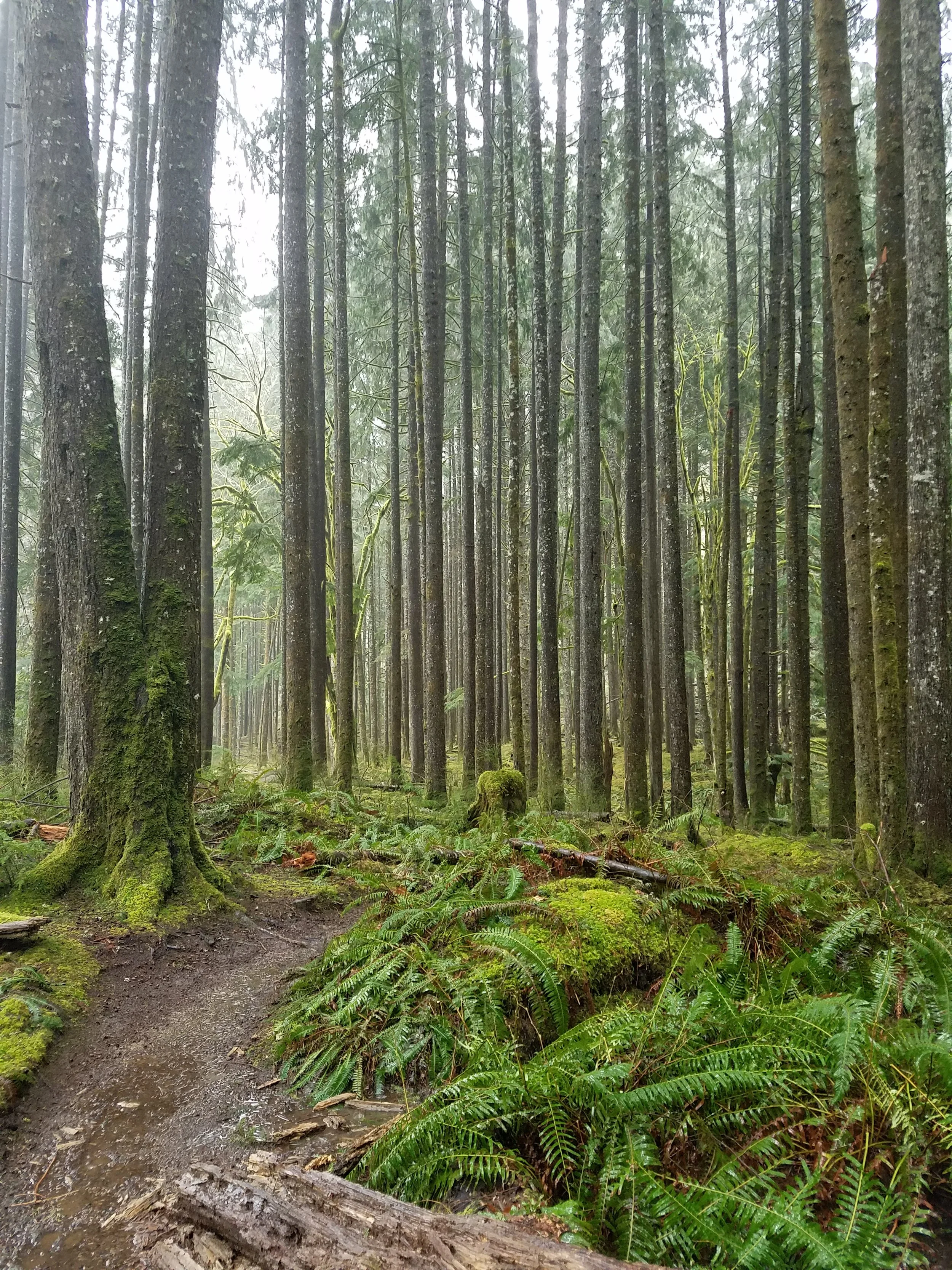 Negative Beliefs &amp; Neuroplasticity