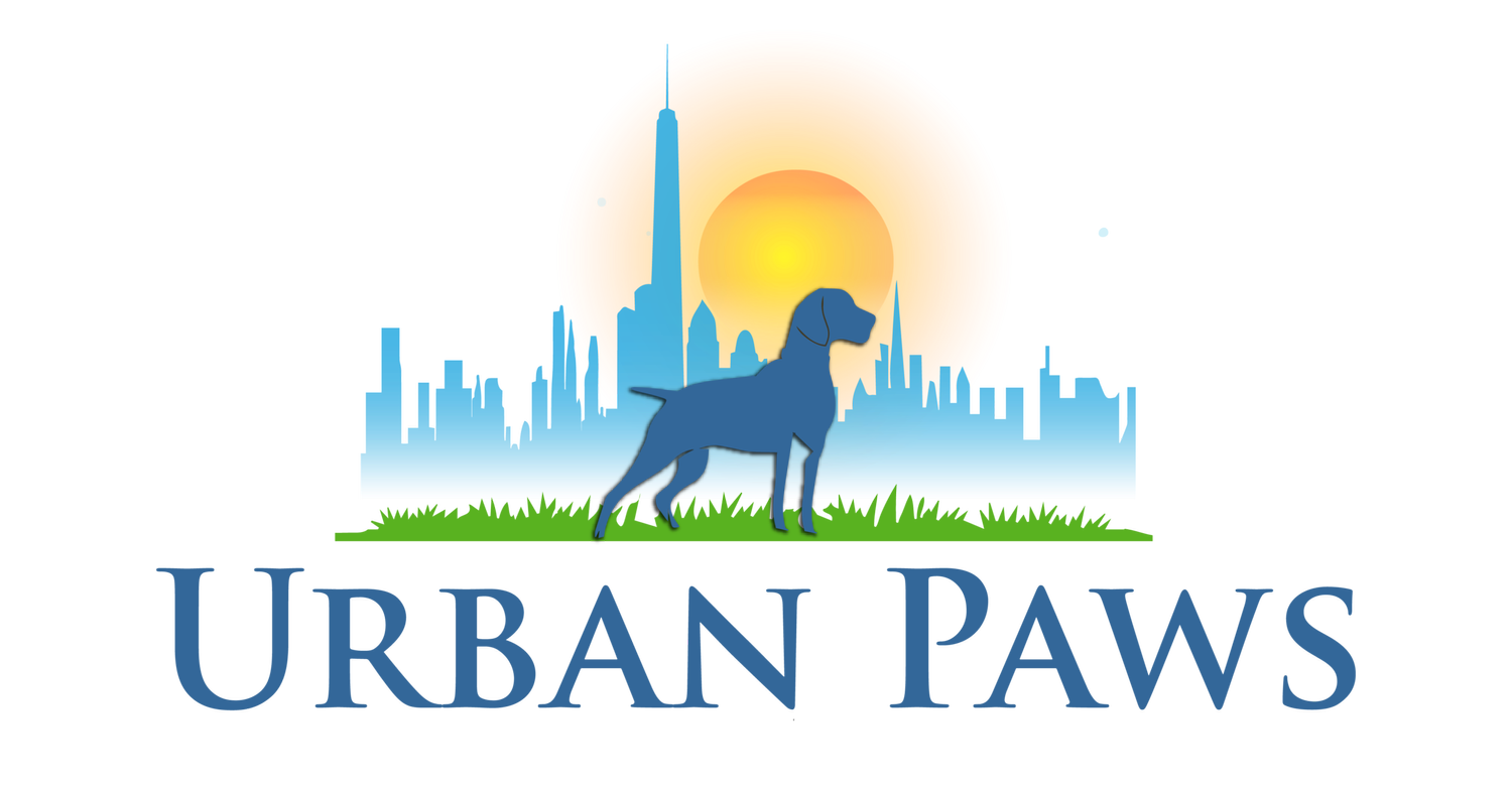 Urban Paws