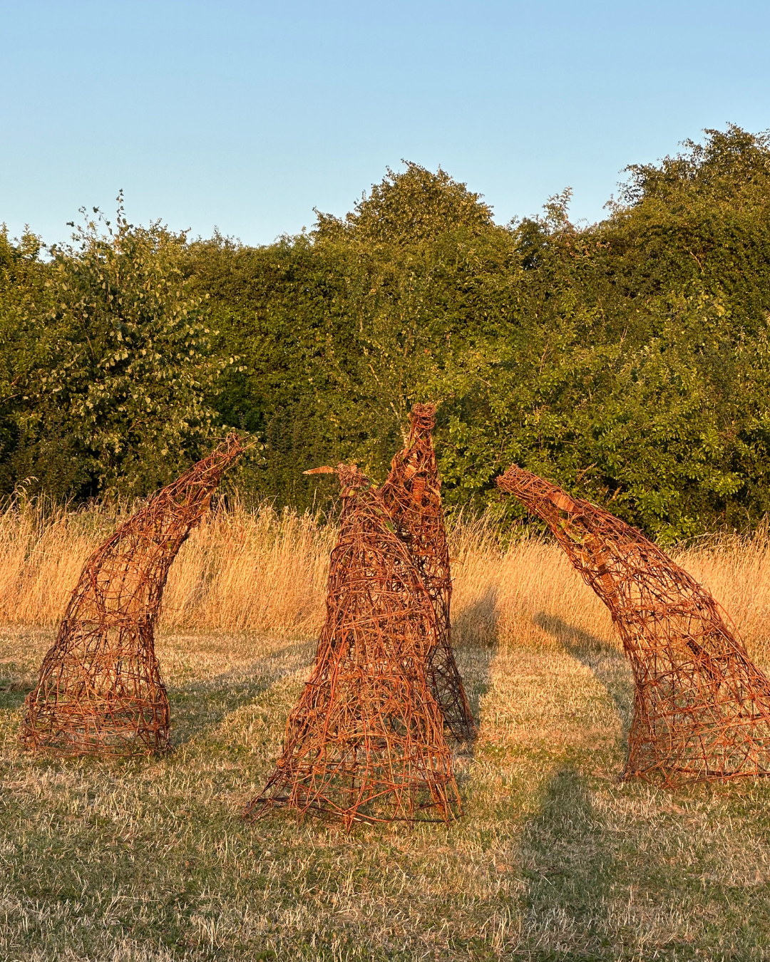 23. Willow Arches by Nita Rao, Jemma Bagley  & Participants in Community Workshops