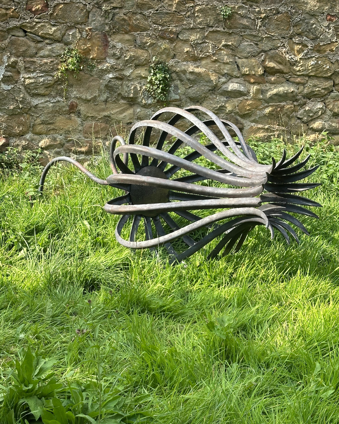 33 Single Seedhead  by David Turner