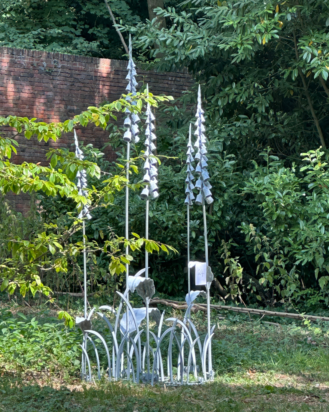 24 Foxgloves  by David Turner