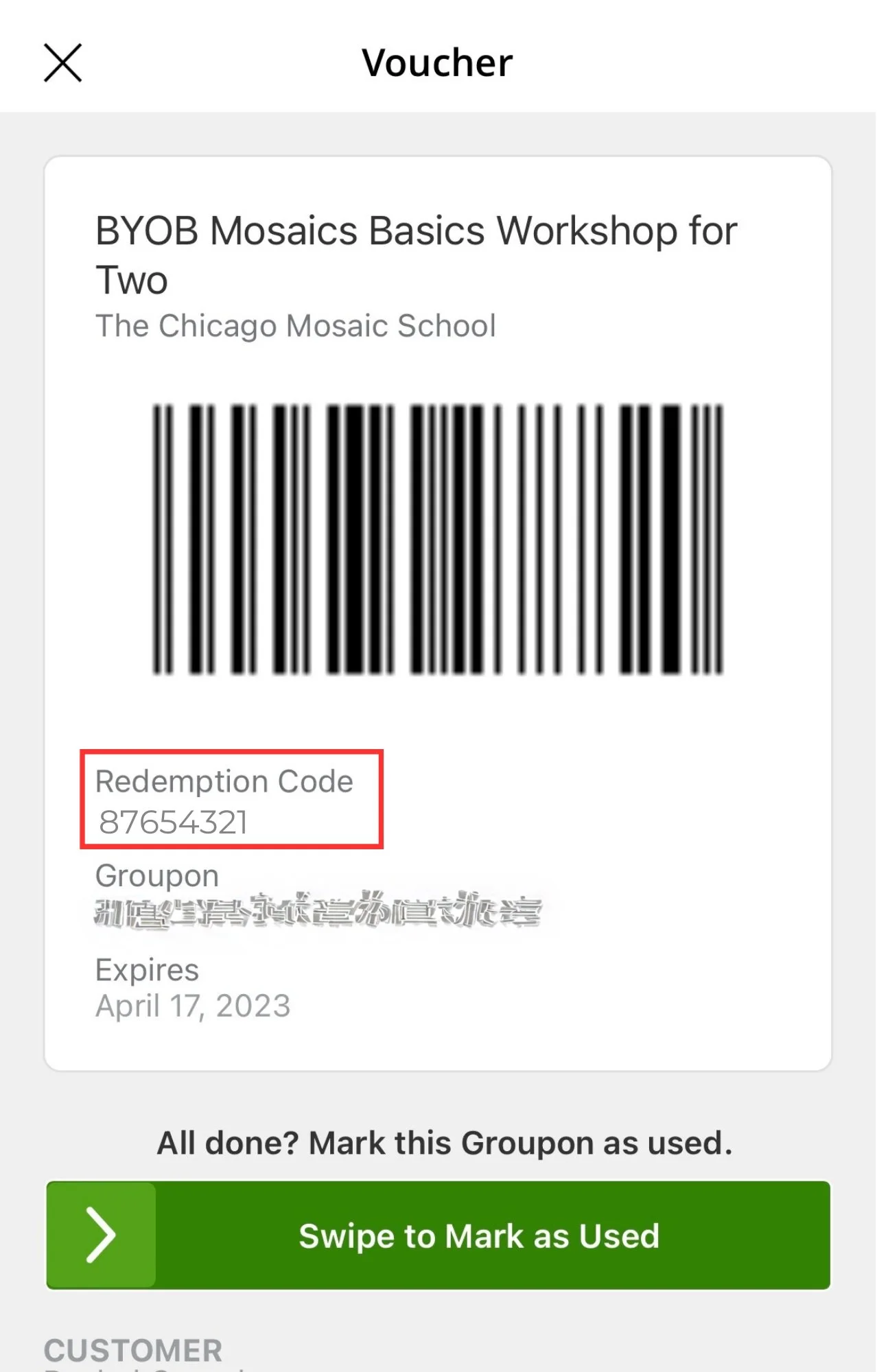 Groupon BYOB — The Chicago Mosaic School
