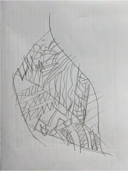 Picture8.png