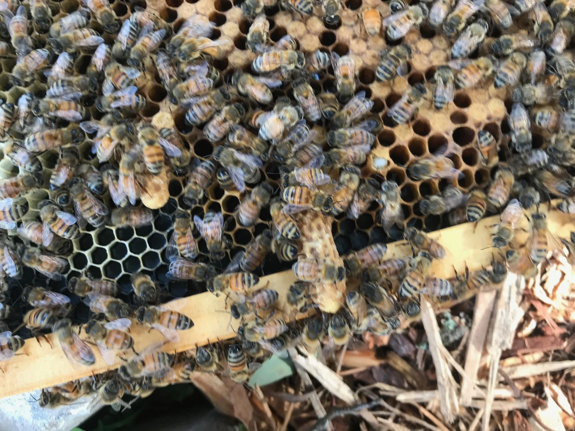 Do you want the good or bad news?