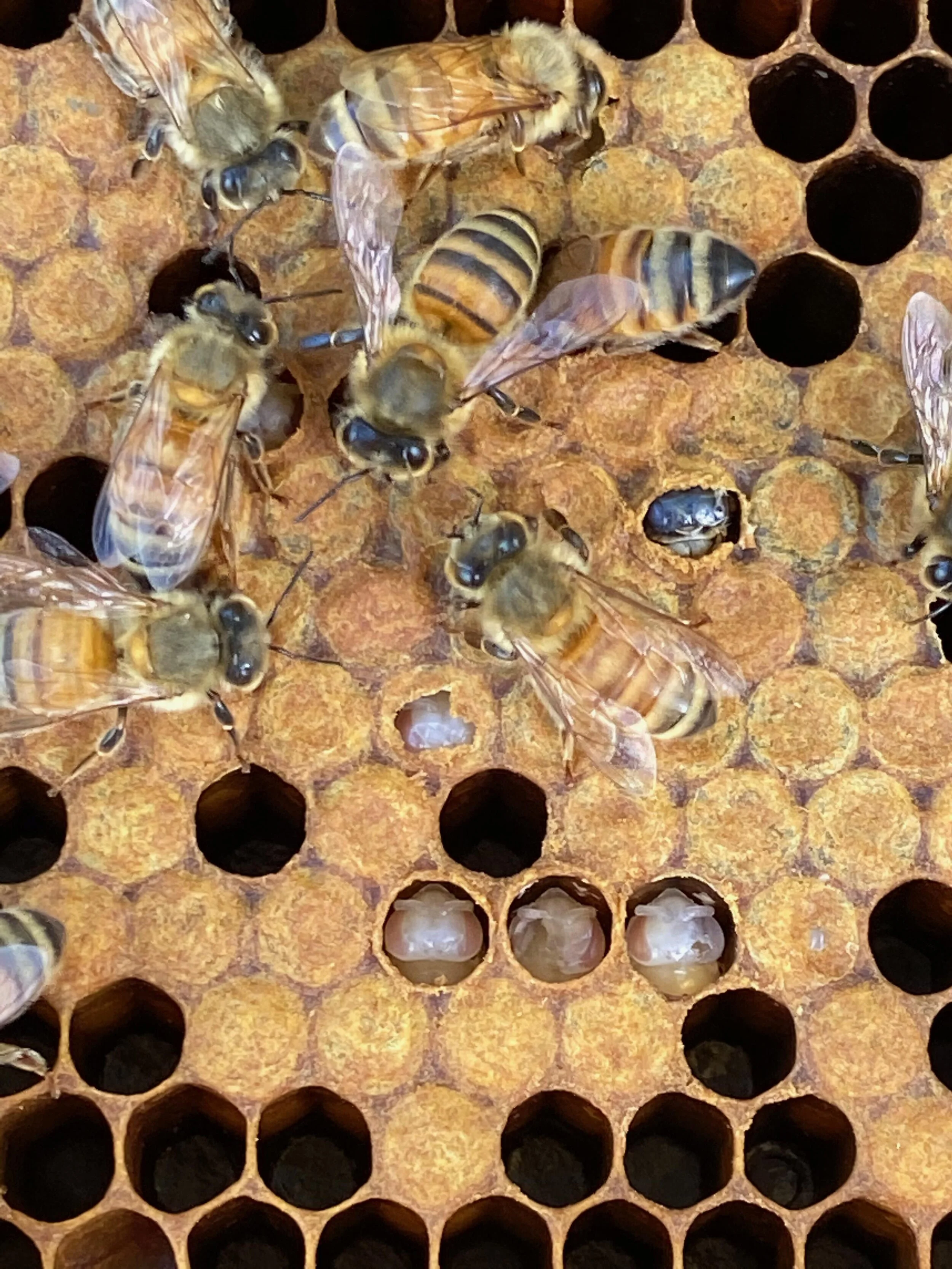 Things are terrible.