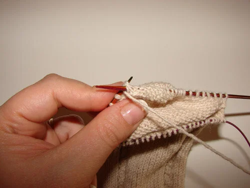 2circsocks_64..jpg