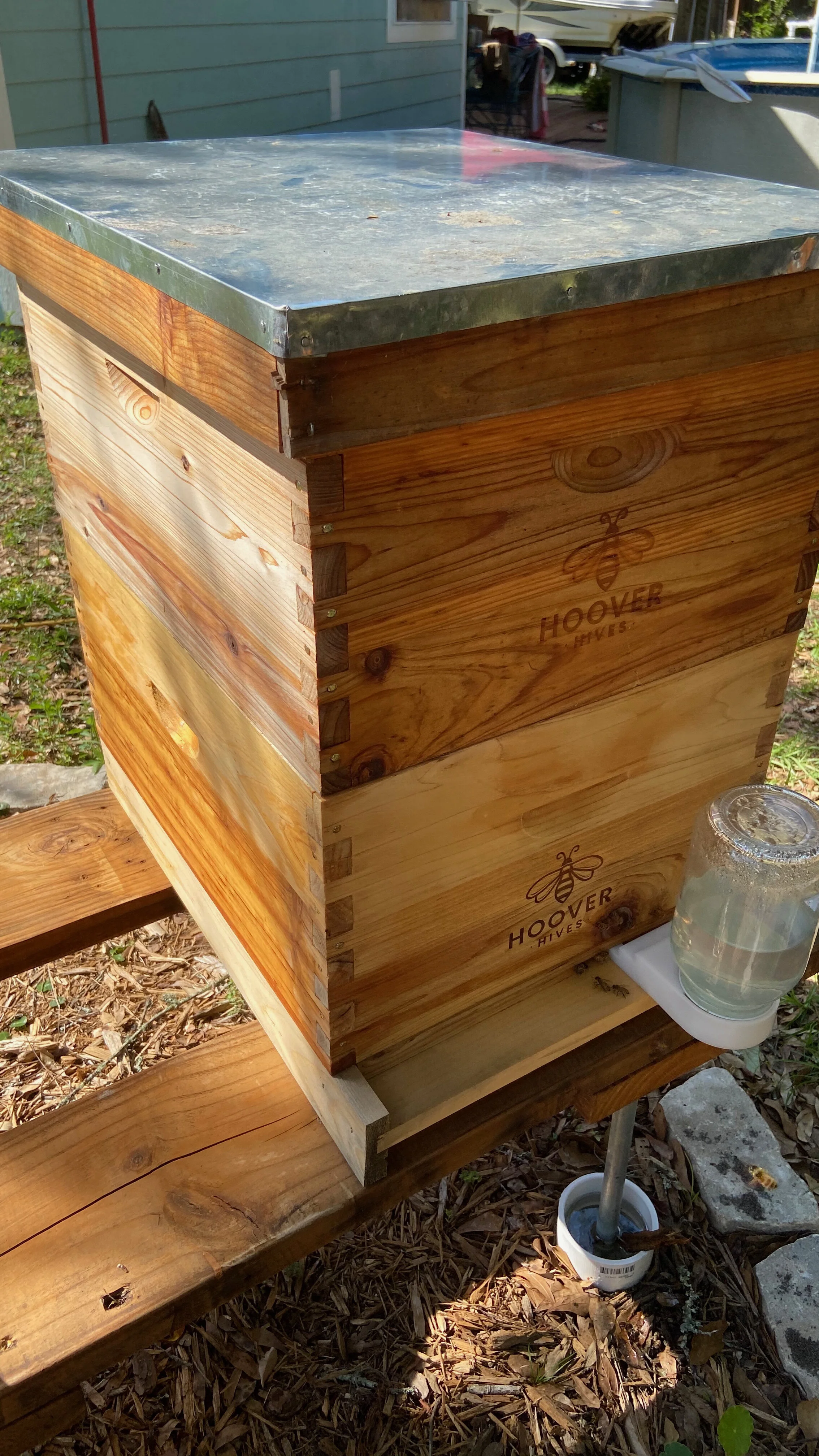 Two hives was a bust