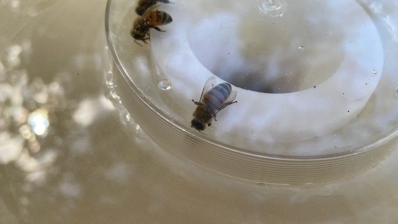 That's what you get!