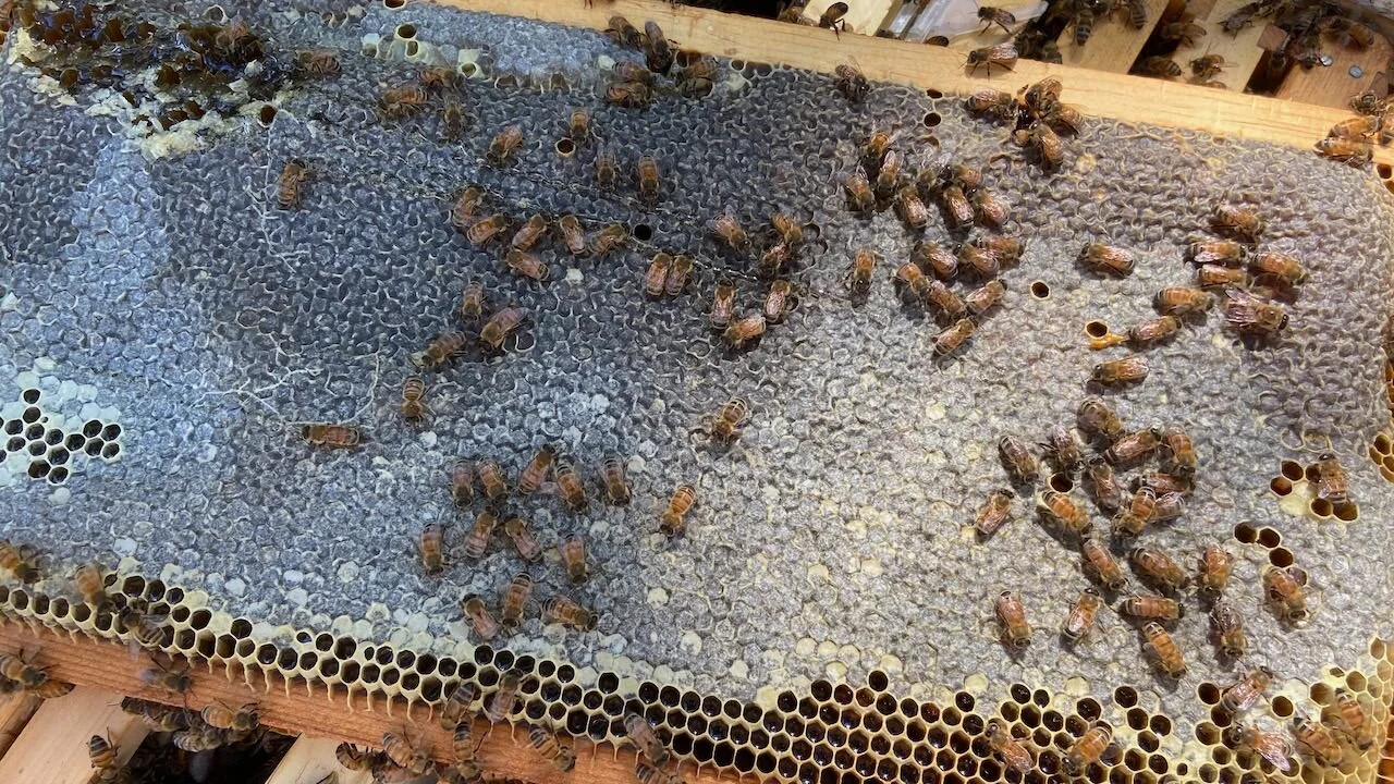 Is this even worth it!?