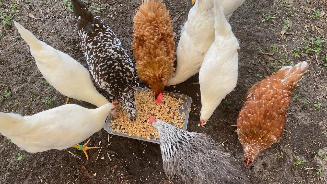 It's been three months...