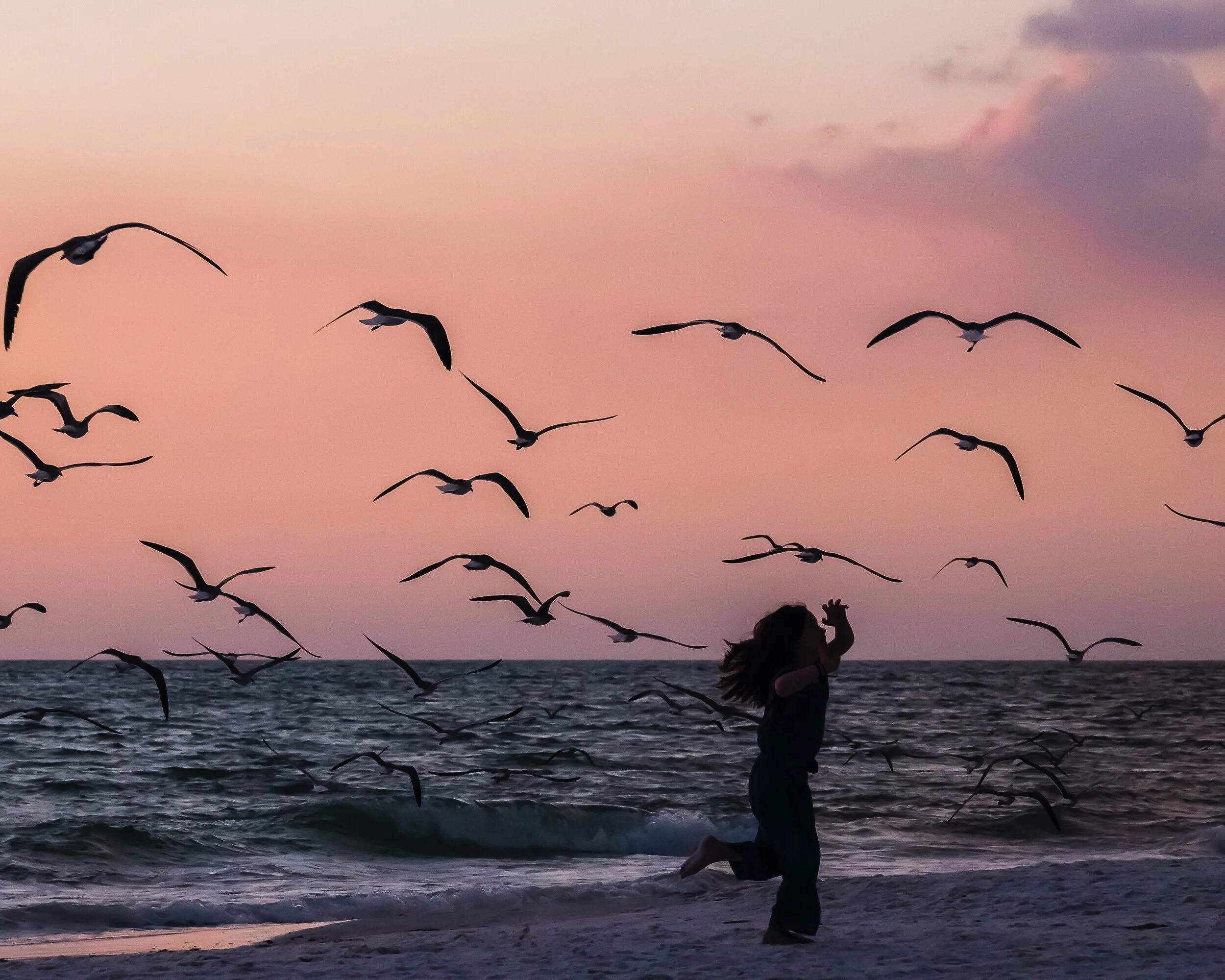 In this human pandemic, at least the birds don't need social distancing, but...
