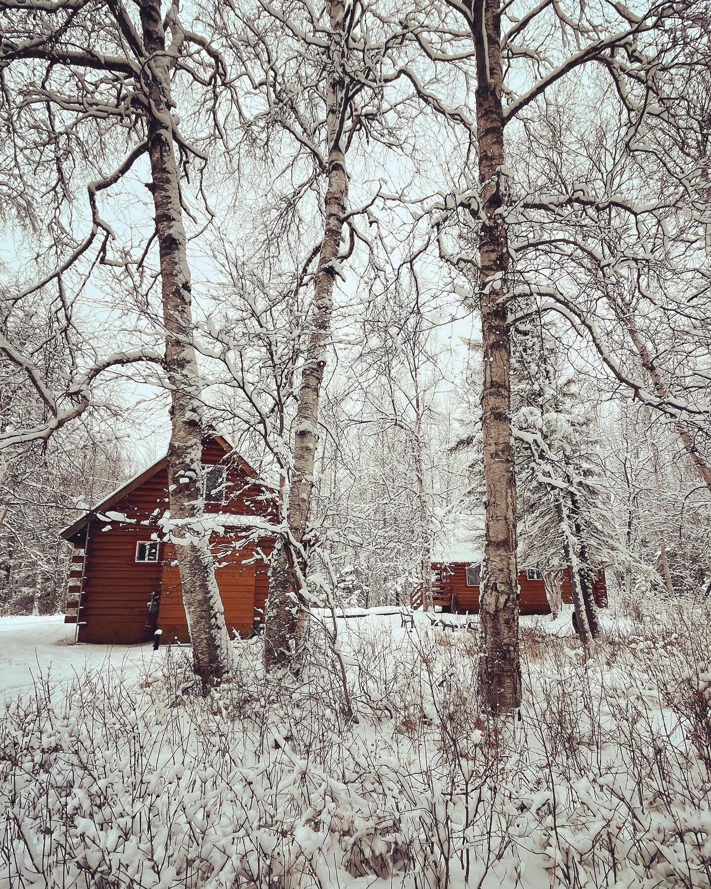 A fresh blanket of snow to keep the cabins warm and cozy. #freshsnow #thanksgivingsnow #hatcherpass #clearandcoldnext