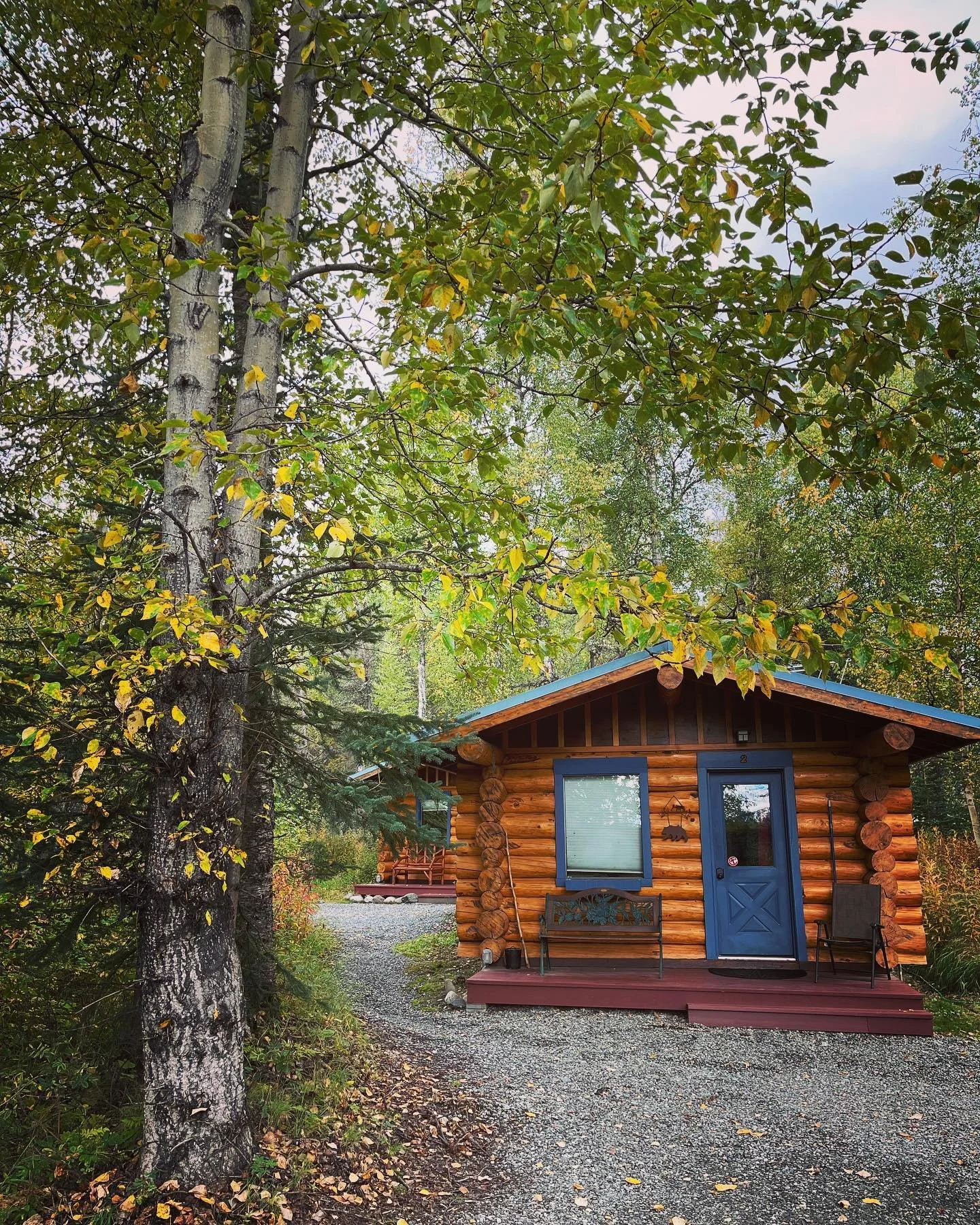 Fall is really starting to show off around the cabins! Now hopefully the sun will just stop hiding so much&hellip;
#fallcolors #thattimeofyear #winteriscoming #moresunshineplease #hatcherpass #fallinalaska