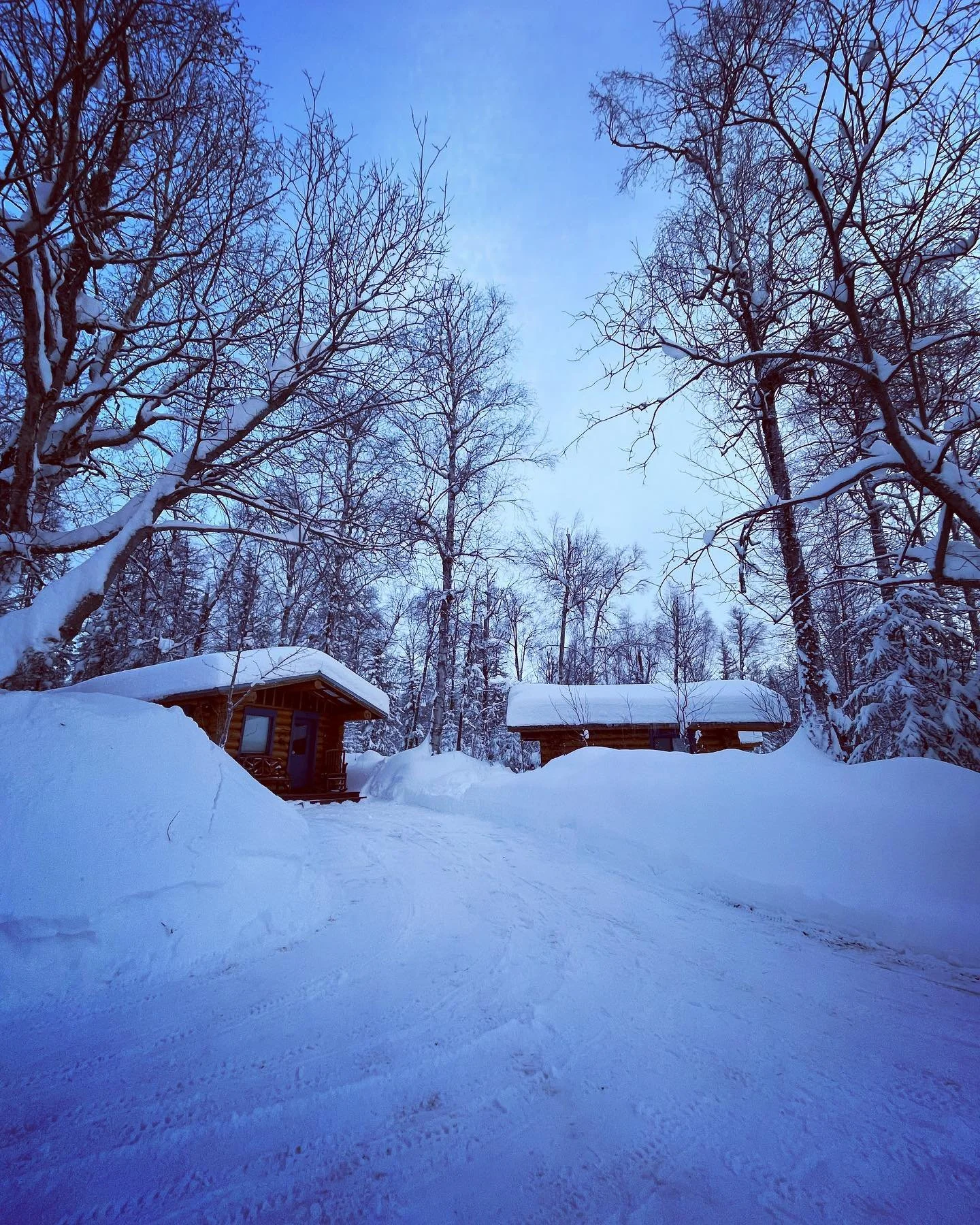 3 storms and over 3 feet later, the snow berms are out for the holidays!
#hatcherpass #itsdeep #whitechristmas #shovelingfordays #wintersolstice #dontgetstuck #definitelydogdeep