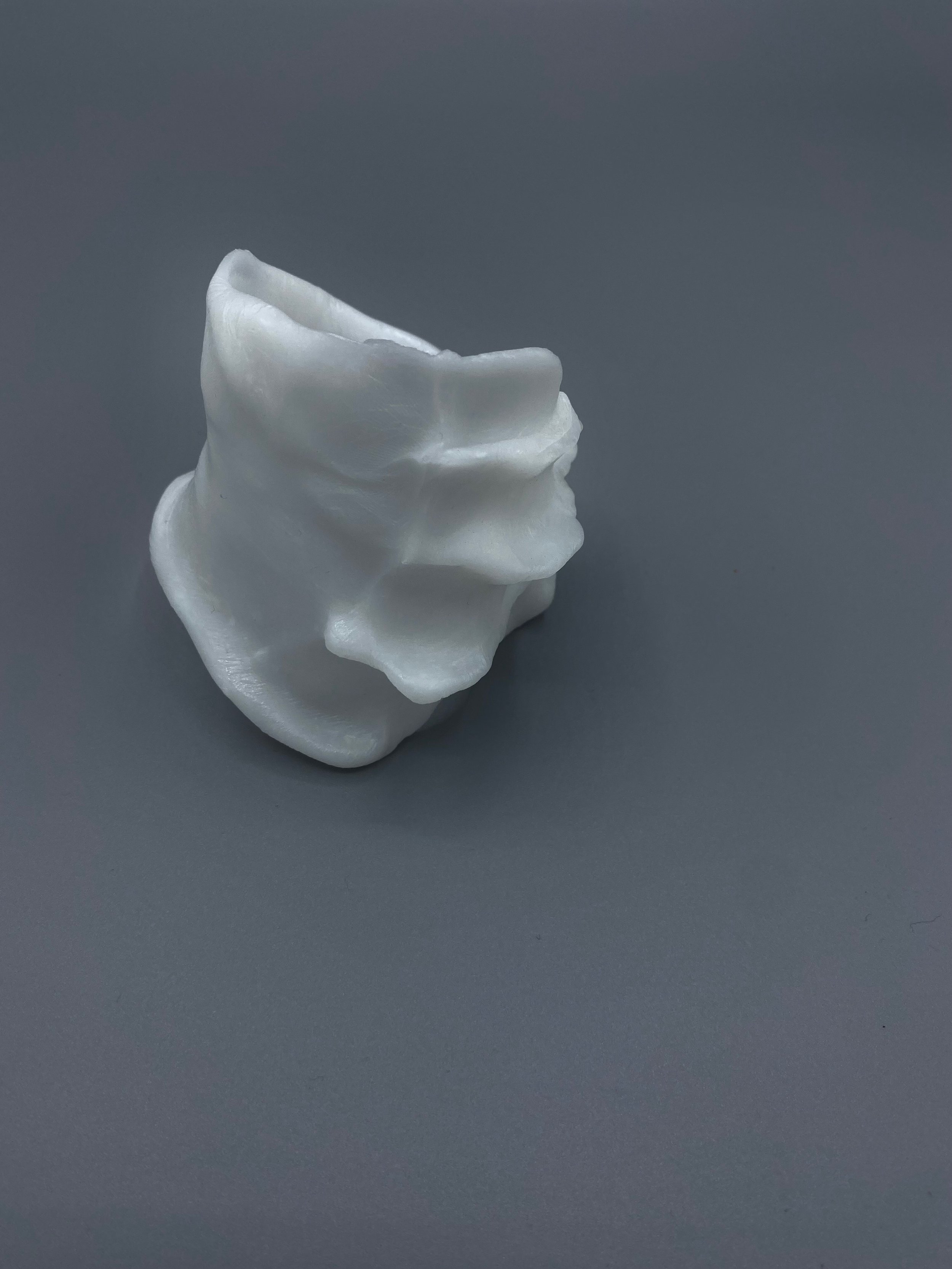 Untitled, 2021, Emily Fruth, thermoplastic