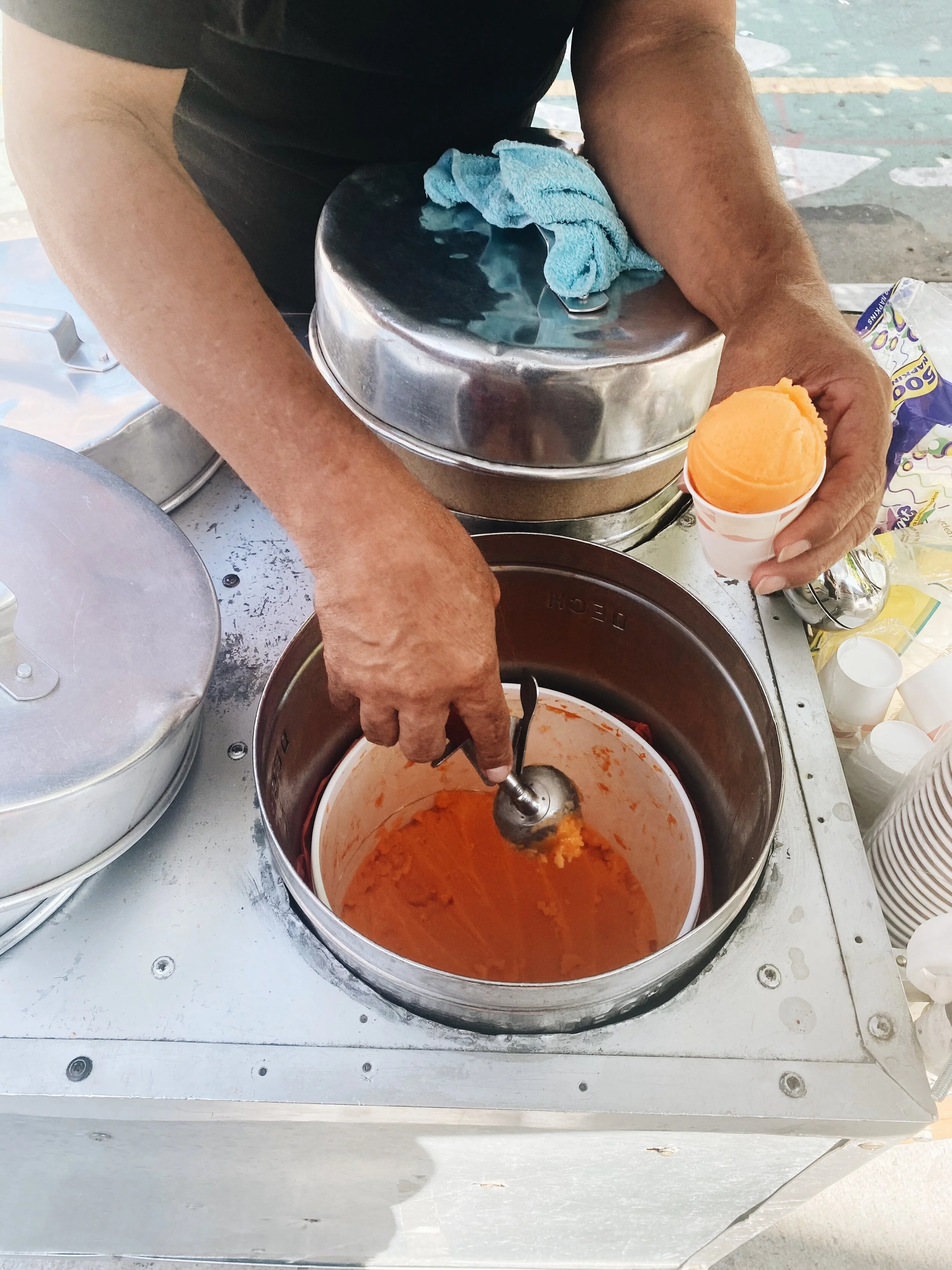 Native New Yorkers grew up navigating the subway system tourists will never master, enduring educational budget cuts that transplants will never know, and waiting in eagerness for the return of one-dollar icee carts outside of school, writes Canal S…