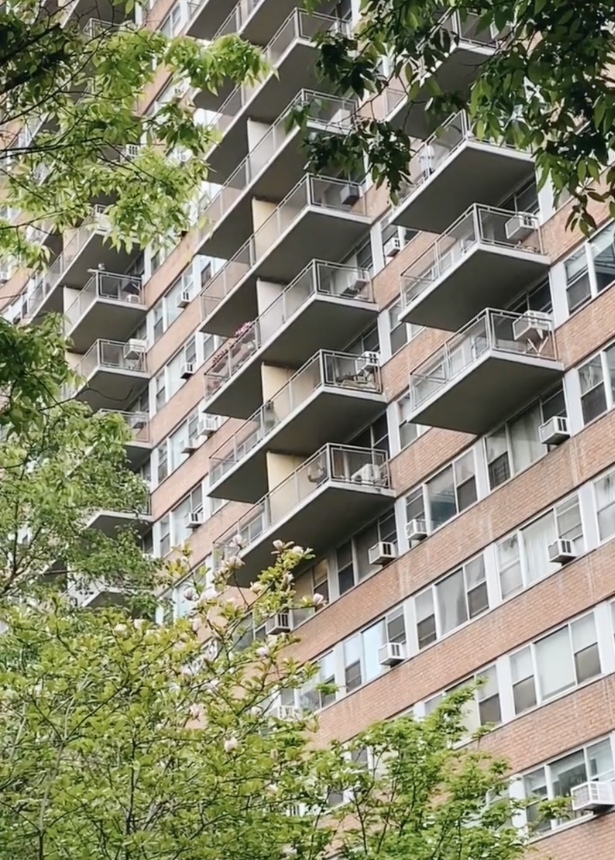 Screen Shot 2020-07-28 at 2.39.32 PM.png