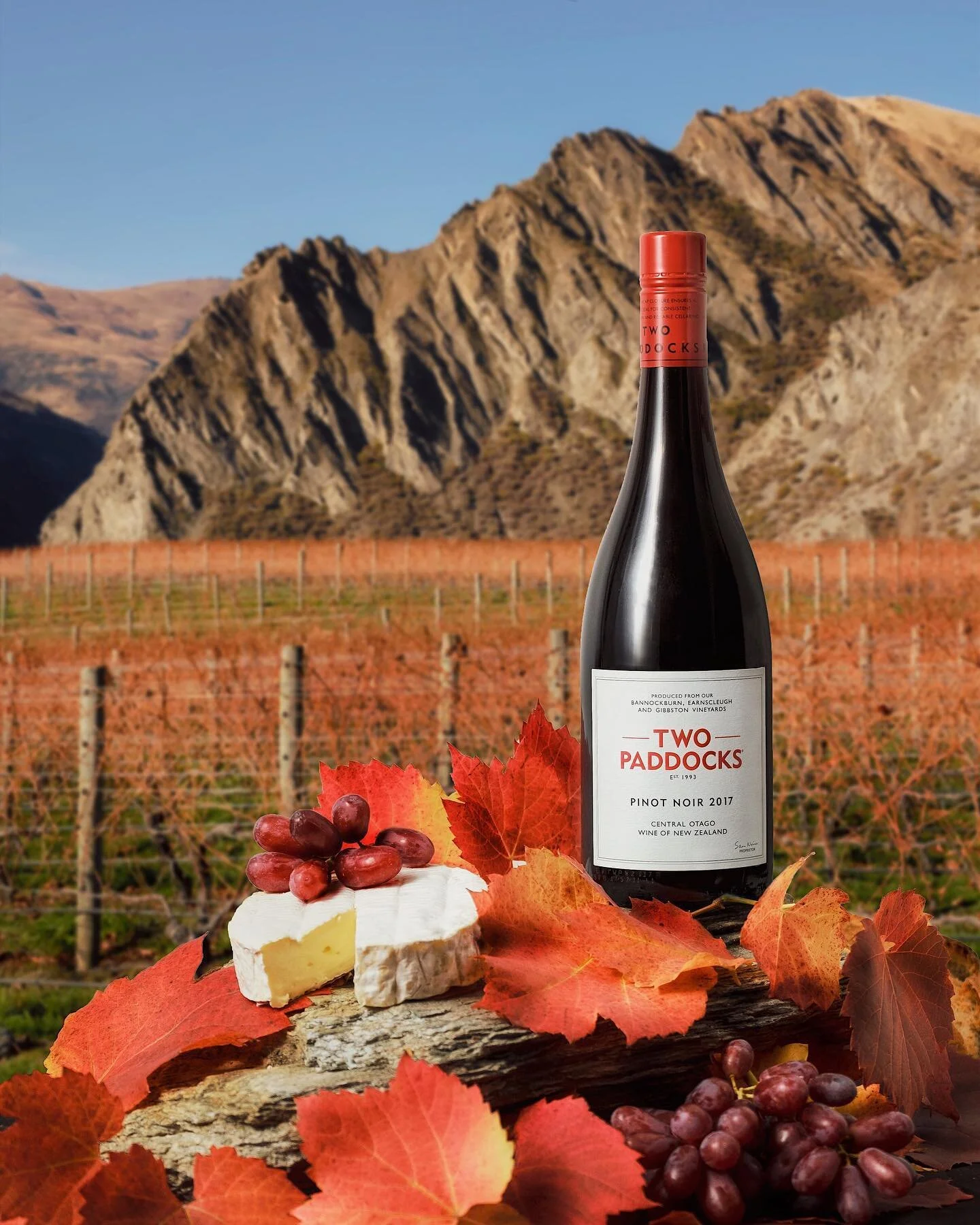 🍷 When you love red wine as much as we do, you take any excuse to splurge on a prop! This @twopaddocks Pinot Noir fits perfectly in with its elements in beautiful Central Otago. Tasted even better 😉 
We can&rsquo;t wait to get back out shooting in 