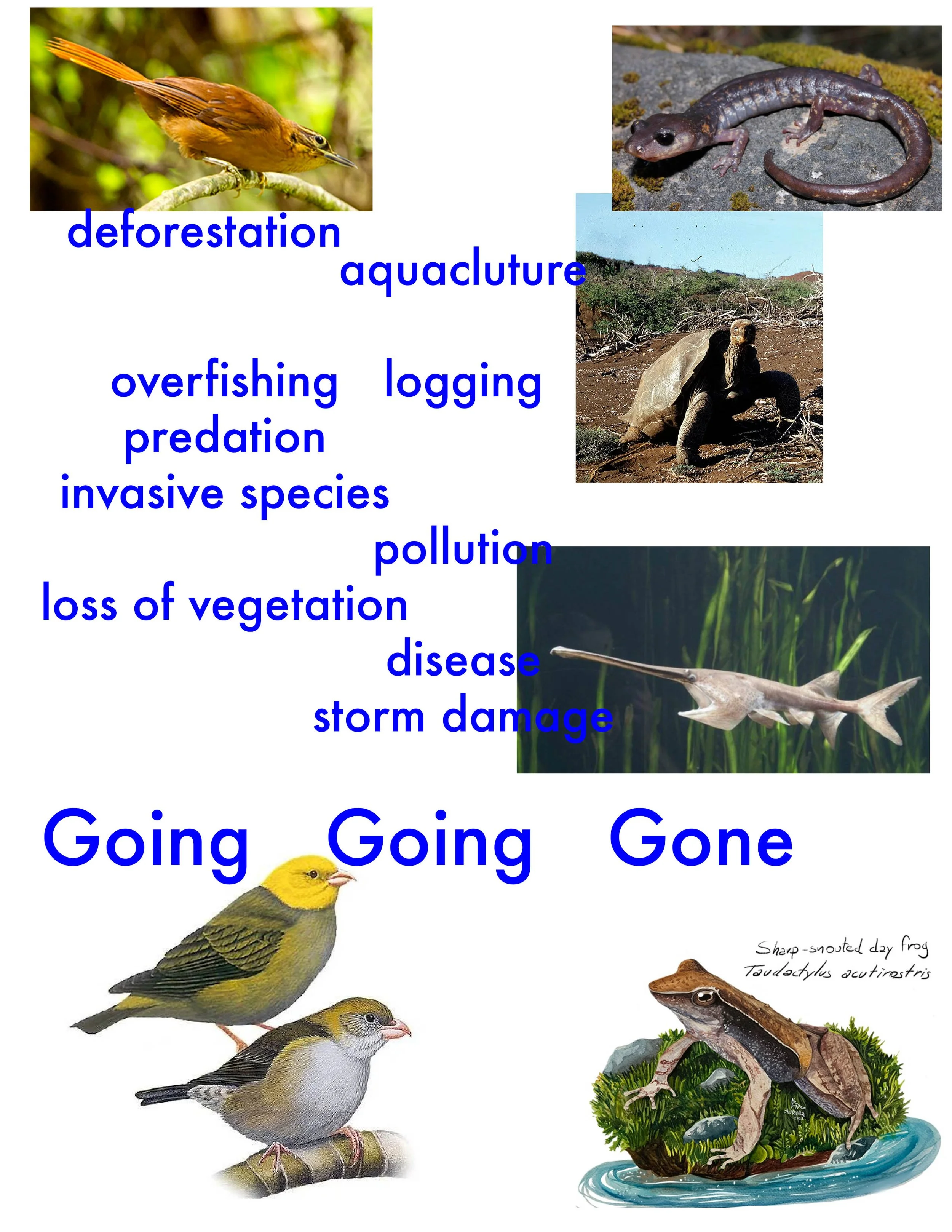 going going gone.jpg